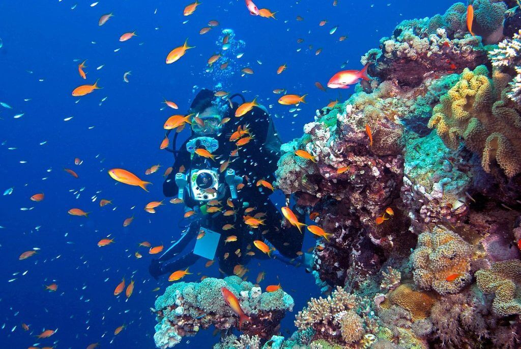 Crowne Plaza Jeddah Hotel Launches Four Exciting Scuba Diving Packages
